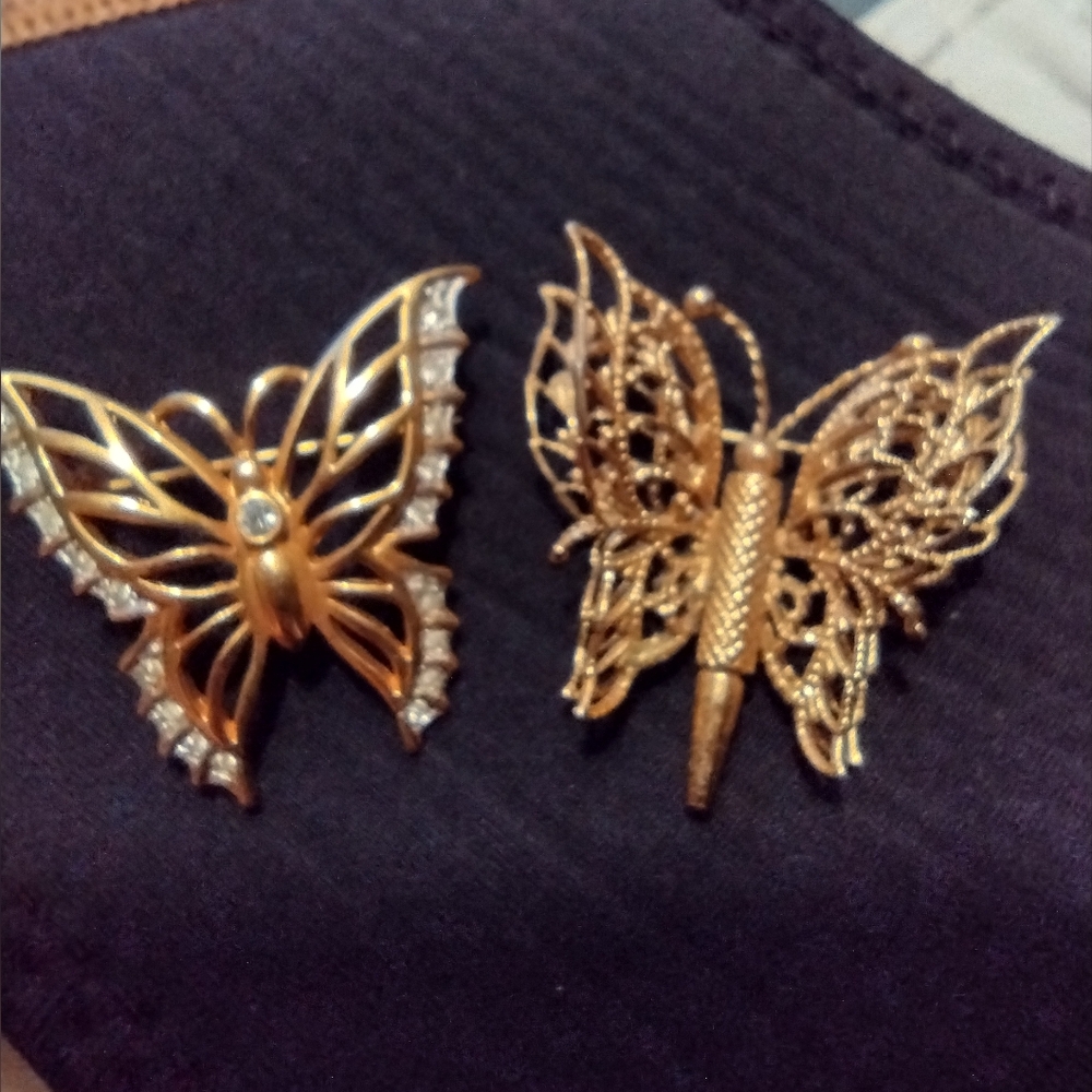 2 Butterflies
